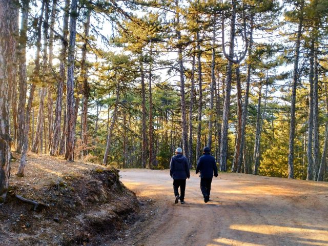 Marche et Sophrologie : Un Duo Gagnant pour Votre Bien-Être