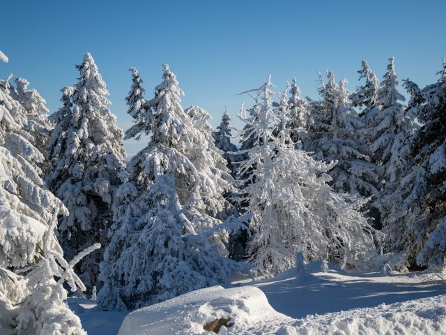 Hiver et stress : pourquoi votre bien-être est en jeu et comment agir