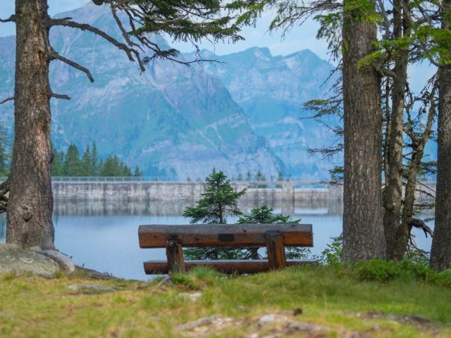 La sophrologie en plein air : un allié contre le stress ? Oui, grâce à la nature