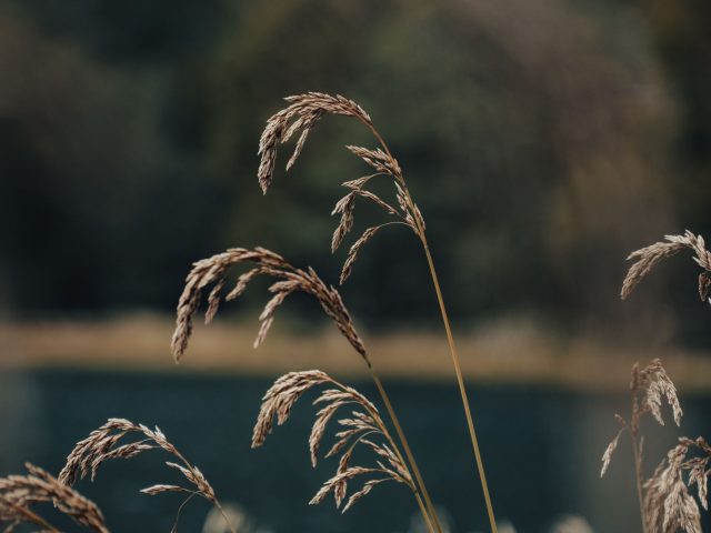 Sophrologie : comment elle révolutionne votre quotidien émotionnel